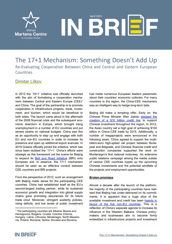 The 17+1 Mechanism: Something Doesn’t Add Up
